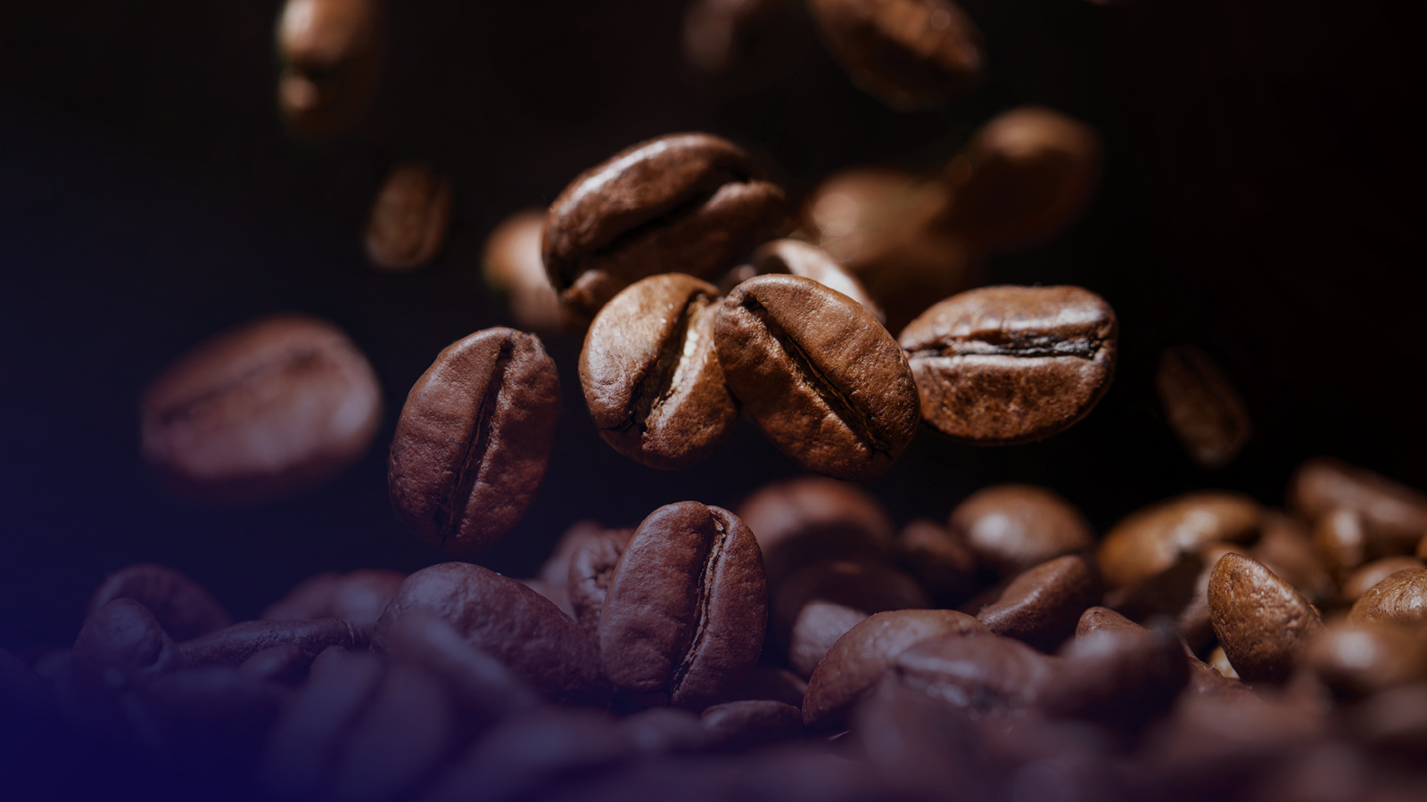 Join The DMCC Agro Ecosystem DMCC   World Of Coffee Dubai 2024 